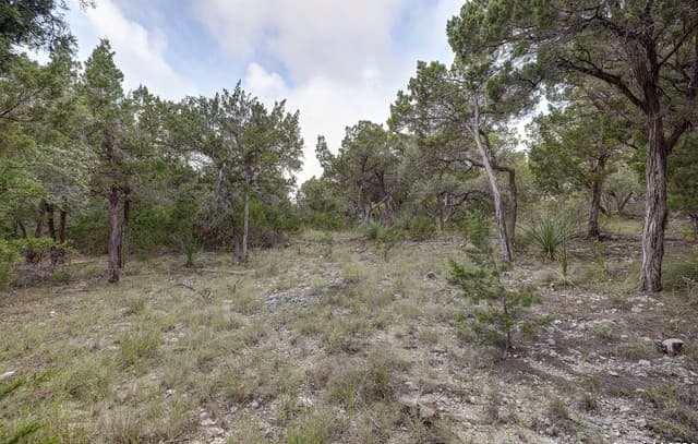 rental at 11411 Anaqua Springs in Boerne, TX — photo 2