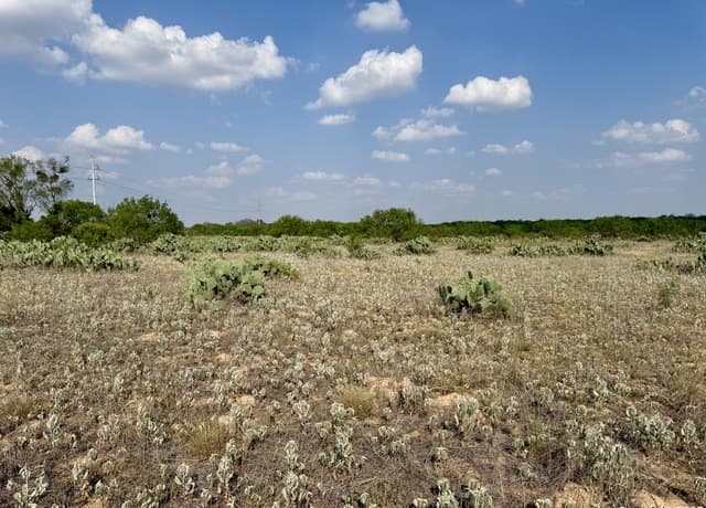 rental at TBD LOT 62 E Cr 1647 in Moore, TX — photo 1