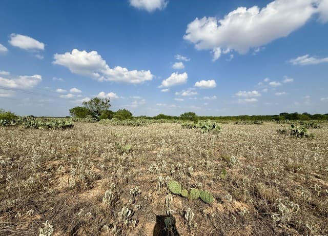 rental at TBD LOT 62 E Cr 1647 in Moore, TX — photo 3