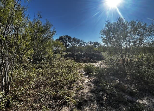rental at 2693 County Road 467 in Devine, TX — photo 1