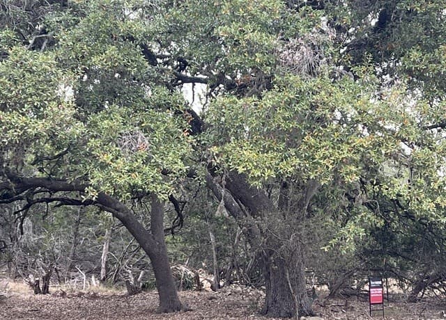 Home for sale at LOT 24 Heinen Circle in Bandera, TX — photo 3