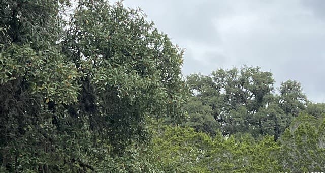 Home for sale at LOT 24 Heinen Circle in Bandera, TX — photo 4