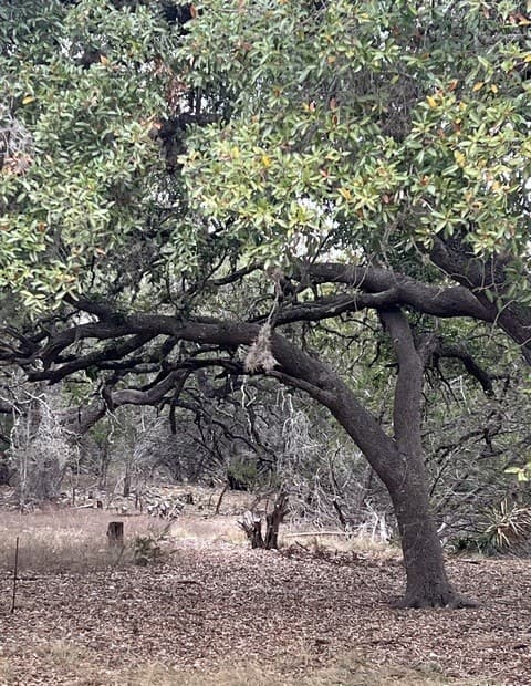 Home for sale at LOT 24 Heinen Circle in Bandera, TX — photo 5