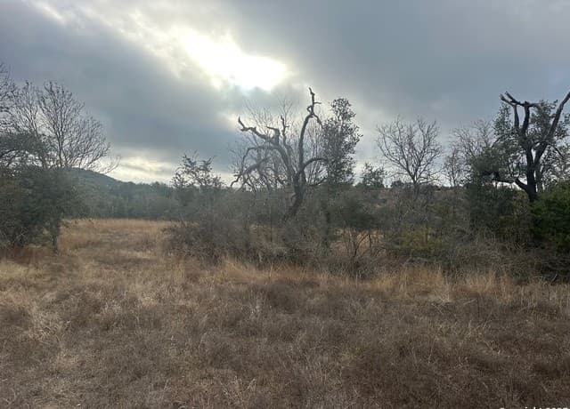 rental at 119 Platten Creek in Boerne, TX — photo 3