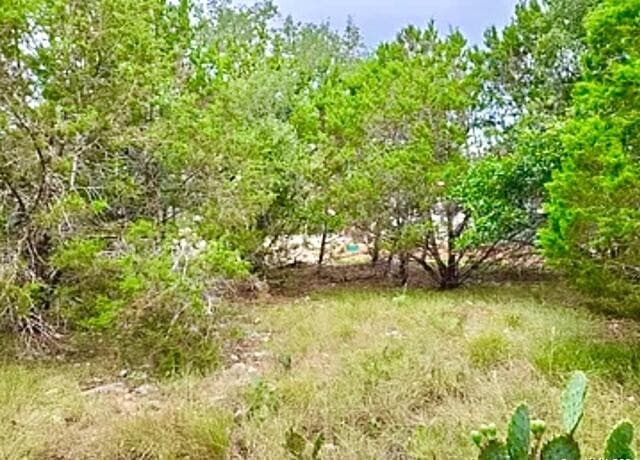 rental at 119 N John Bird in Blanco, TX — photo 1
