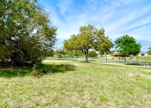 rental at 119 N John Bird in Blanco, TX — photo 2