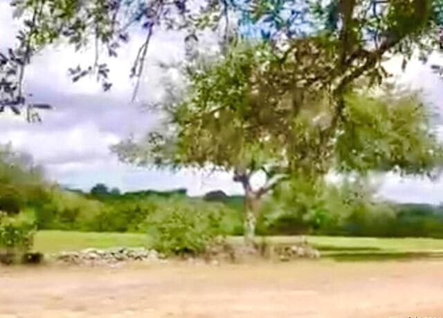 rental at 119 N John Bird in Blanco, TX — photo 4