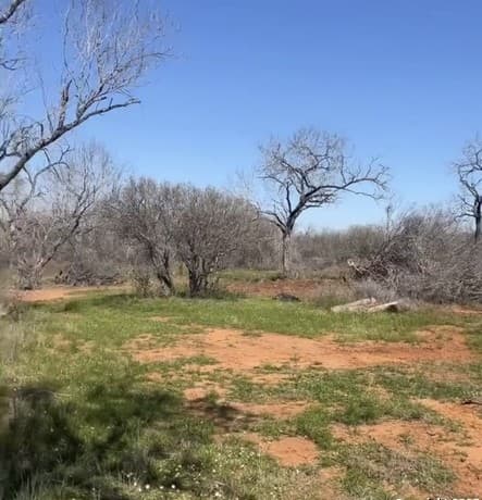 rental at 260 County Road 2662 in Moore, TX — photo 4