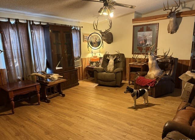 3-bedroom rental at 632 Academy B in Blanco, TX — photo 2