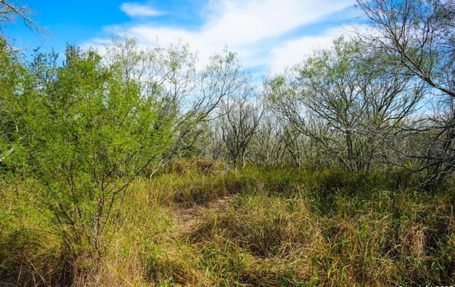 rental at 000 Cr 124 in Kenedy, TX — photo 5