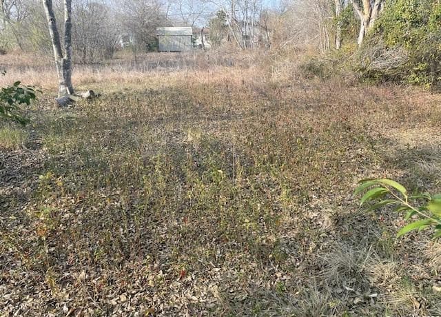 rental at 606 Cedar in Jourdanton, TX — photo 3