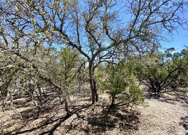 rental at LOT 345 Pr 1747 in Mico, TX — photo 5