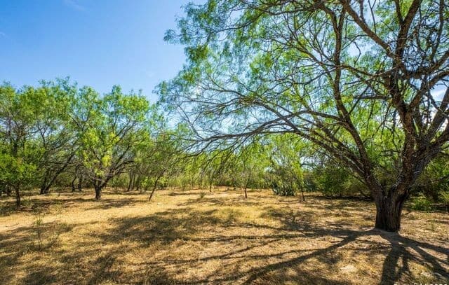 Home for sale at CR 732 Cr in Yancey, TX — photo 3