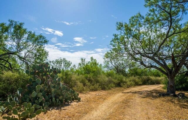 Home for sale at CR 732 Cr in Yancey, TX — photo 5