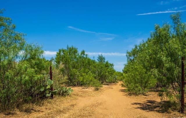 rental at FM2200 2200 in Yancey, TX — photo 2