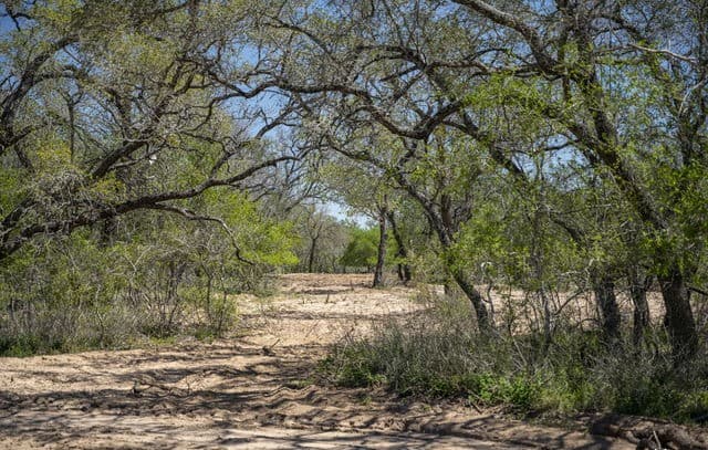 rental at 2721 County Road 770 in Natalia, TX — photo 4