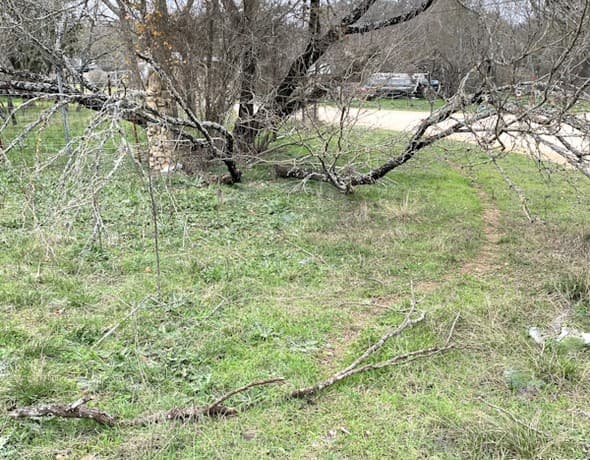 Home for sale at 1148 Lariat Trace in Bandera, TX — photo 3