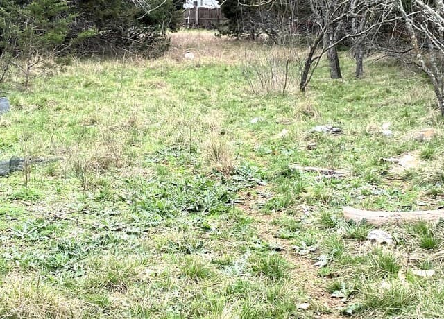 Home for sale at 1148 Lariat Trace in Bandera, TX — photo 5