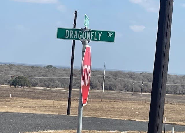 rental at 120 Dragonfly in La Vernia, TX — photo 4