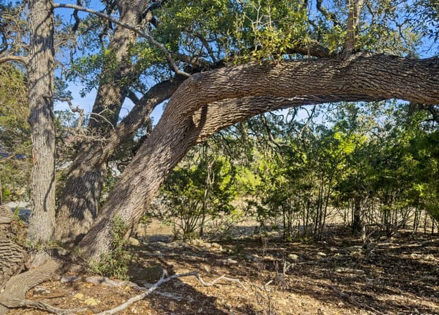 rental at 1075 Pegasus Dr in Spring Branch, TX — photo 4