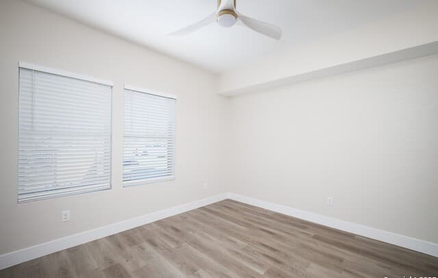 2-bedroom rental at 1644 Mistletoe Unit 201 in San Antonio, TX — photo 5