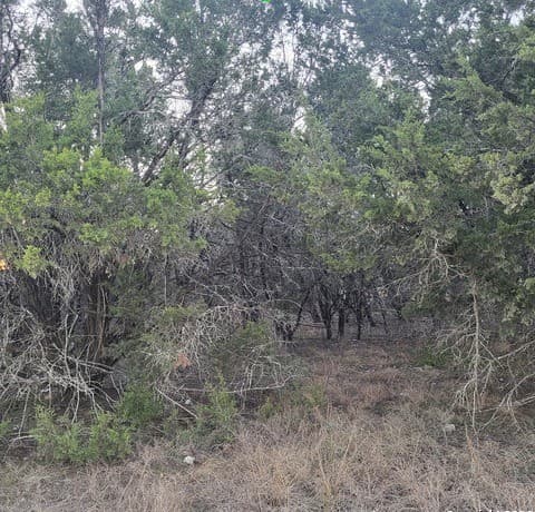 rental at 0 Tbd (Oak Ridge - lot 22) in Spring Branch, TX — photo 2