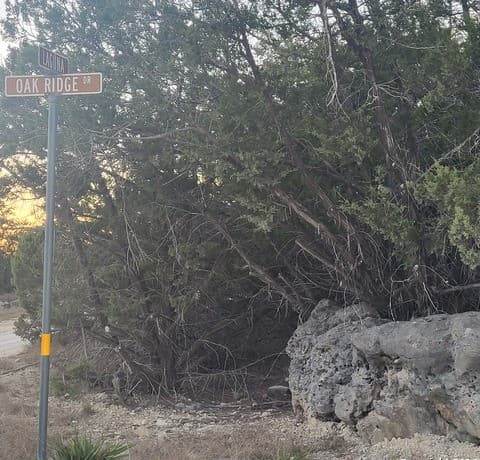 rental at 0 Tbd (Oak Ridge - lot 22) in Spring Branch, TX — photo 4