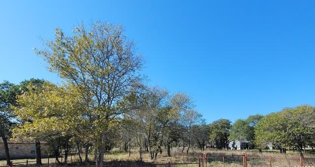 rental at 876 Evening Shade in Adkins, TX — photo 3