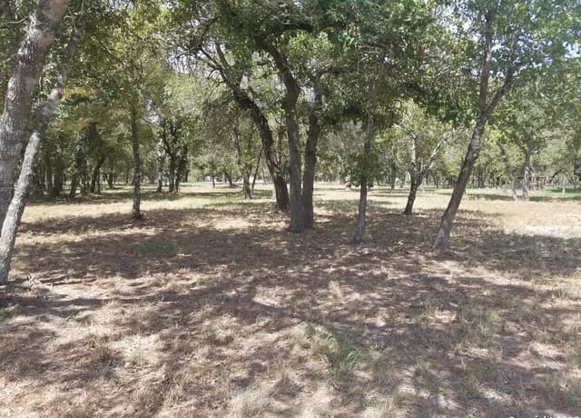rental at 876 Evening Shade in Adkins, TX — photo 4