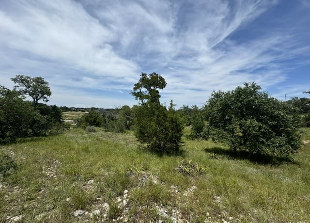 rental at 134 W Eli Chandler in Blanco, TX — photo 4