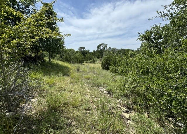 rental at 134 W Eli Chandler in Blanco, TX — photo 5