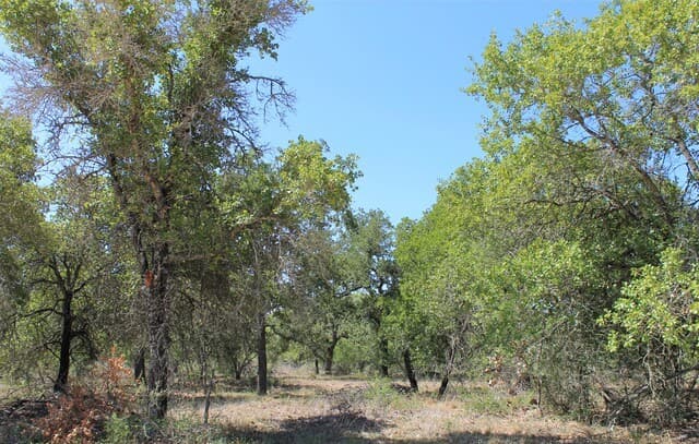 rental at 11913 W Fm 476 in Somerset, TX — photo 1