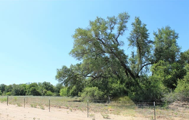 rental at 11913 W Fm 476 in Somerset, TX — photo 3