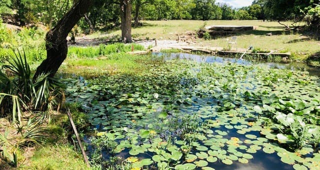 rental at 335 Rittimann in Spring Branch, TX — photo 1