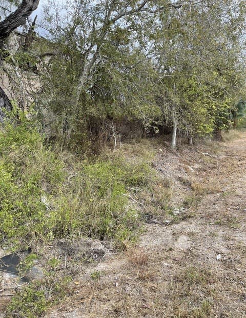 rental at TBD N Highway 37 Access in Three Rivers, TX — photo 1