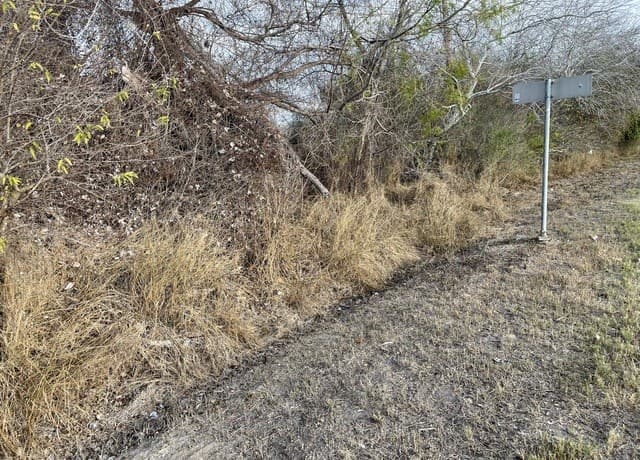 rental at TBD N Highway 37 Access in Three Rivers, TX — photo 3