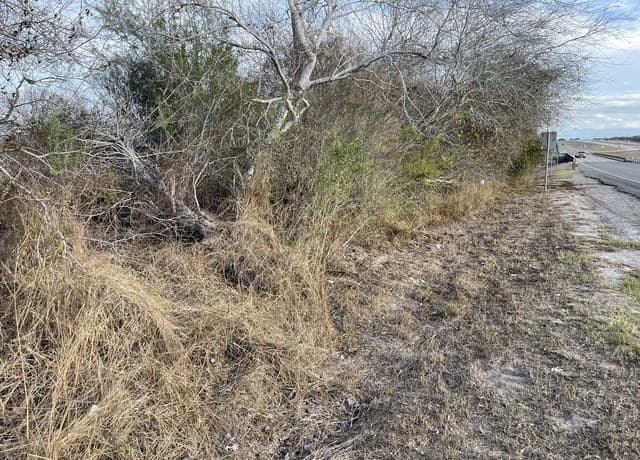 rental at TBD N Highway 37 Access in Three Rivers, TX — photo 4