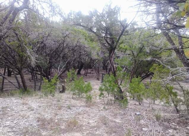 rental at 0 Frio in Bandera, TX — photo 2