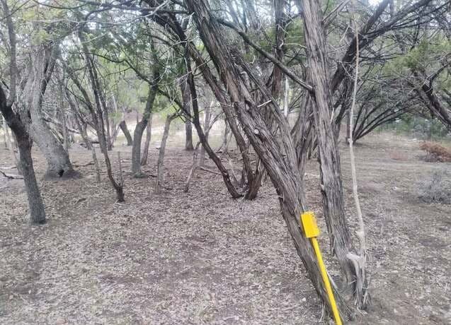 rental at 0 Frio in Bandera, TX — photo 3
