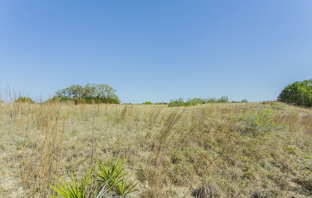 rental at 252 River Cliff in Spring Branch, TX — photo 5