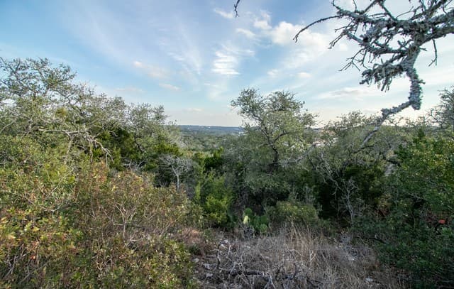 rental at 10028 Cates Creek in San Antonio, TX — photo 3