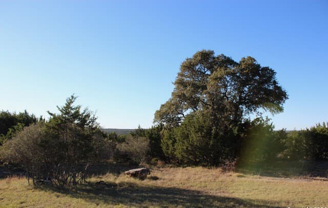 rental at 463 Lantana Mesa in Spring Branch, TX — photo 2