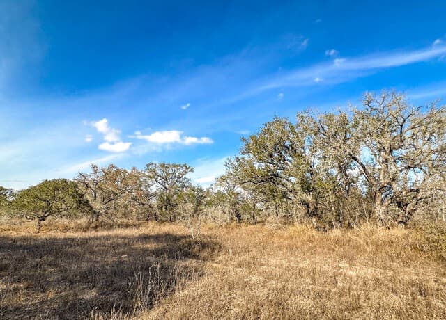 rental at 2703 Cr 770 in Natalia, TX — photo 4