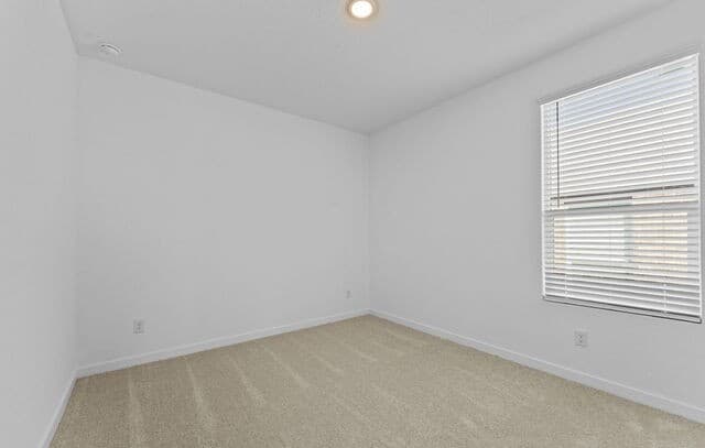 4-bedroom rental at 4987 Mission Tejas Road in Marion, TX — photo 3