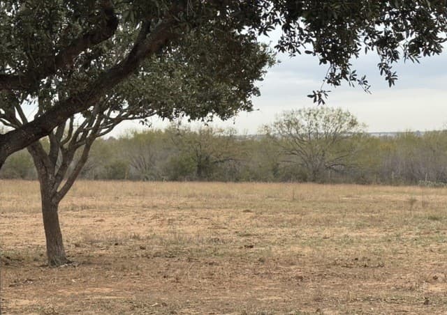 rental at C.R 220 County Road 220 in Floresville, TX — photo 2