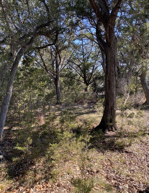 rental at 359 Moosehead in Spring Branch, TX — photo 5