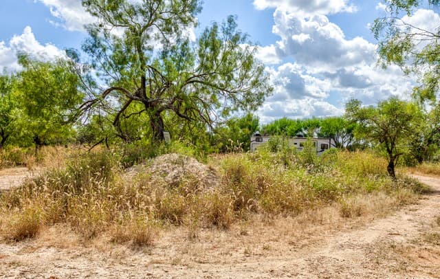 rental at 1160 W Highway 85 in Dilley, TX — photo 2