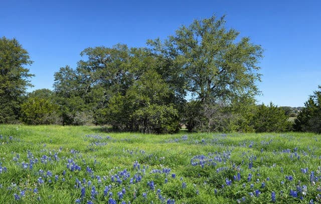 Home for sale at LOT 76 Horseshoe in Bandera, TX — photo 1
