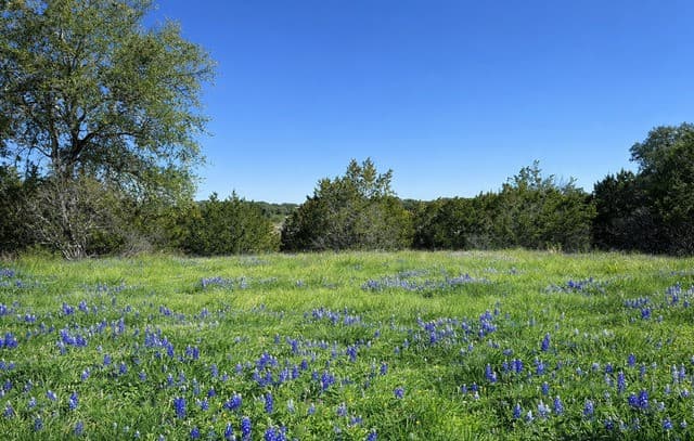 Home for sale at LOT 76 Horseshoe in Bandera, TX — photo 3