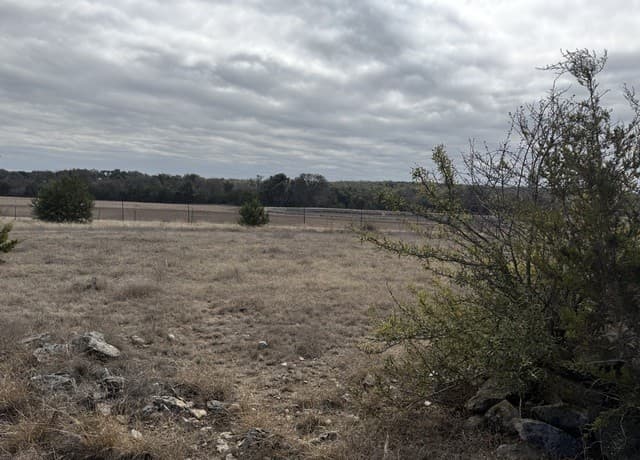 rental at 414 George Dolson in Blanco, TX — photo 2